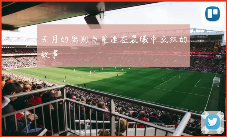 五月的离别与重逢在晨曦中交织的故事