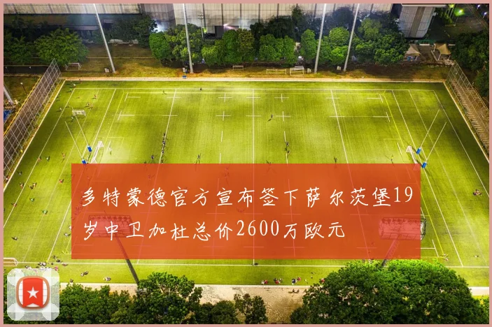 多特蒙德官方宣布签下萨尔茨堡19岁中卫加杜总价2600万欧元